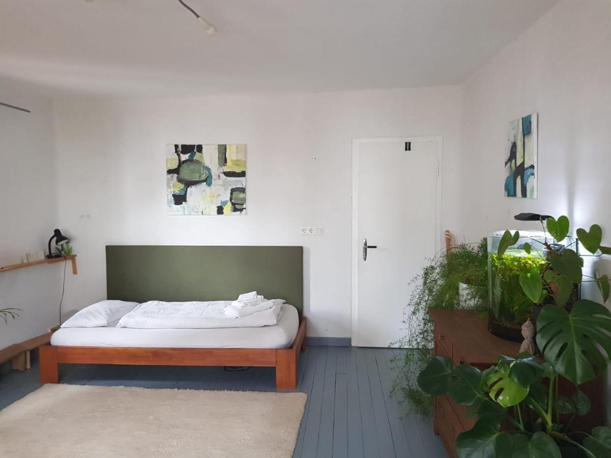 Aeltestes Haus In Quentel - Ferienwohnung 2 Mit Dachterrasse Lichtenau エクステリア 写真
