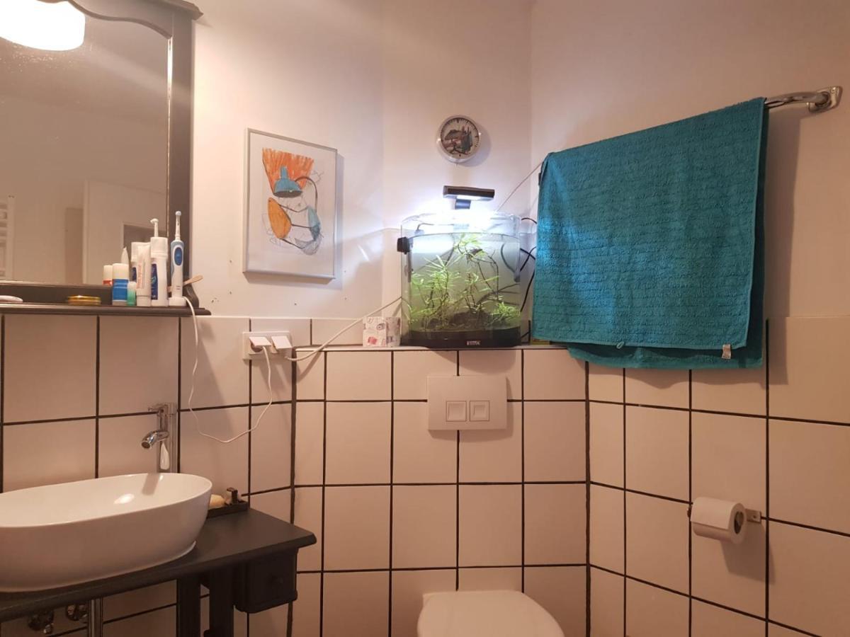Aeltestes Haus In Quentel - Ferienwohnung 2 Mit Dachterrasse Lichtenau エクステリア 写真